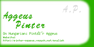 aggeus pinter business card